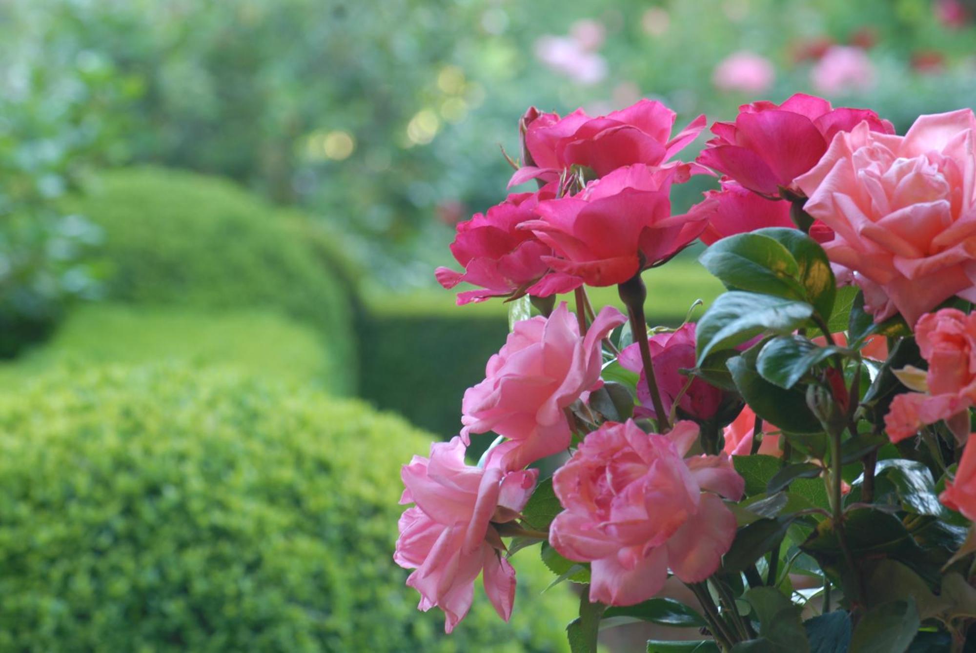 Gospodarstwo wiejskie El Jardin Del Convento, *